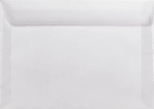 LUXPaper 9 x 12 Booklet Envelopes | Clear Translucent | 30lb. Text | 250 Qty by LUXPaper