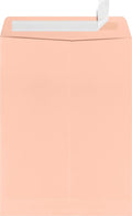 LUXPaper 9 x 12 Open End Envelopes | Peel & Press | Blush Pink | 80lb. Text | 1 by LUXPaper