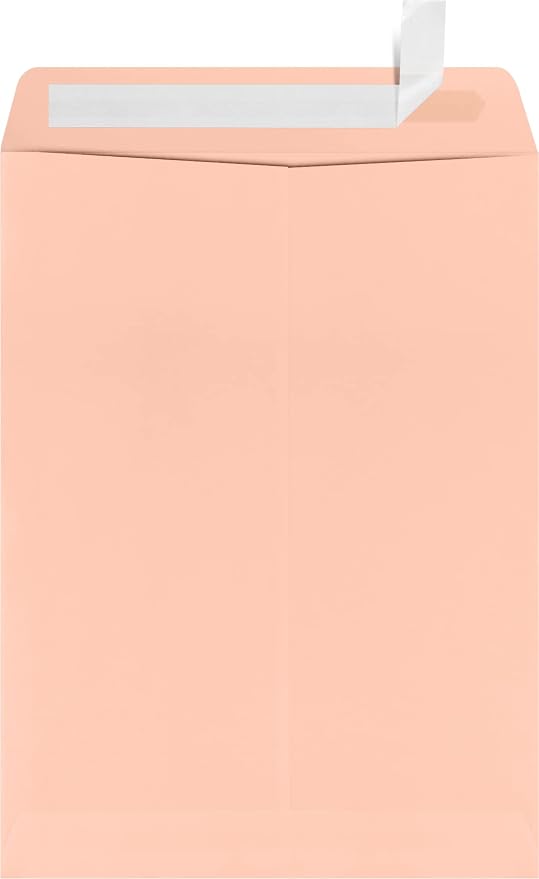 LUXPaper 9 x 12 Open End Envelopes | Peel & Press | Blush Pink | 80lb. Text | 1 by LUXPaper