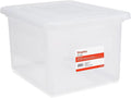 STAPLES File Box Plastic File Box Snap, Letter/Legal Size by Staples