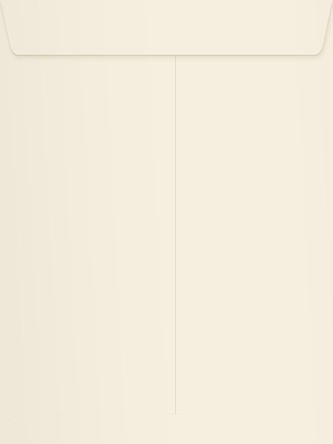 LUXPaper 9 x 12 Open End Envelopes | Peel & Press | Natural | 70lb. Text | 500 by LUXPaper