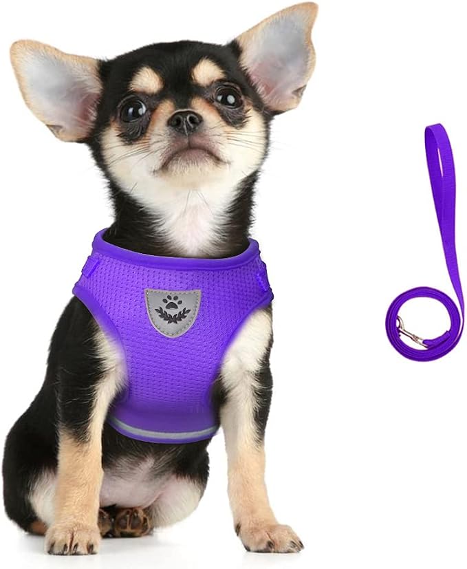 FEimaX Dog Harness and Leash Set - Image 2