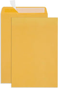 Blue Summit 10x15 Envelopes, Large Mailing 10 x 15 Envelopes by BlueSummitSupplies
