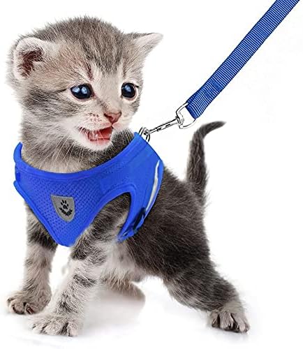 FEimaX Dog Harness and Leash Set - Image 3