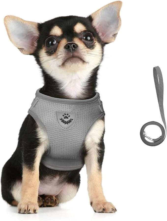 FEimaX Dog Harness and Leash Set by FEimaX