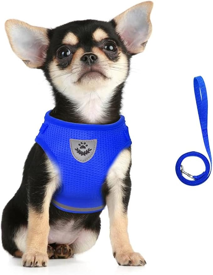 FEimaX Dog Harness and Leash Set - Image 3