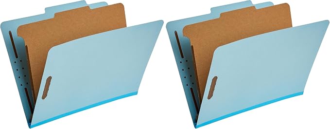 Amazon Basics Classification Folder by AmazonBasics