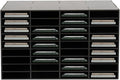 36 Slots Literature Organizer, Desktop Paper & Mail File Sorter by DreamRcoach