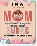 I'm a Dachshund Mom and a Registered Nurse Nothing Scares Me Magnet Bookmark by Ninety3POD