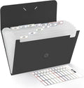 SKYDUE Expanding File Folde rwith 13 Pockets, Accordion File Organizer fits by SKYDUE