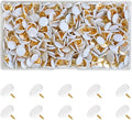 300 PCS Thumb, Tacks Plastic Round Head Thumbtack, Plastic Roundness Push Pins by Unknown