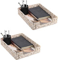 Set of 2 Water Hyacinth Letter Tray by PINXIURY