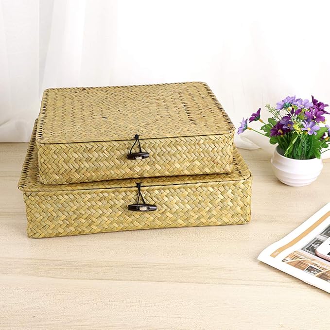 Hipiwe Natural Seagrass Storage Bins - Image 2