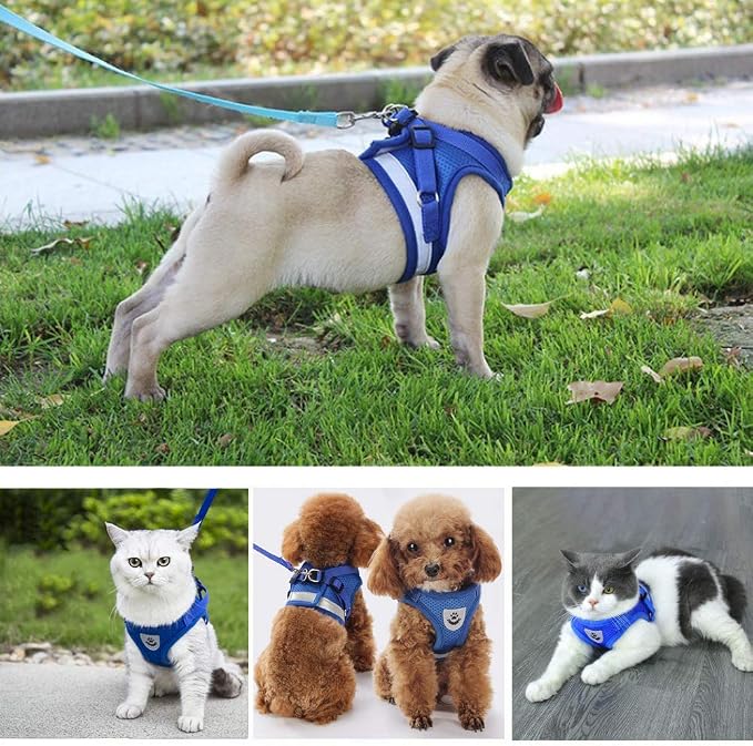 FEimaX Dog Harness and Leash Set - Image 8