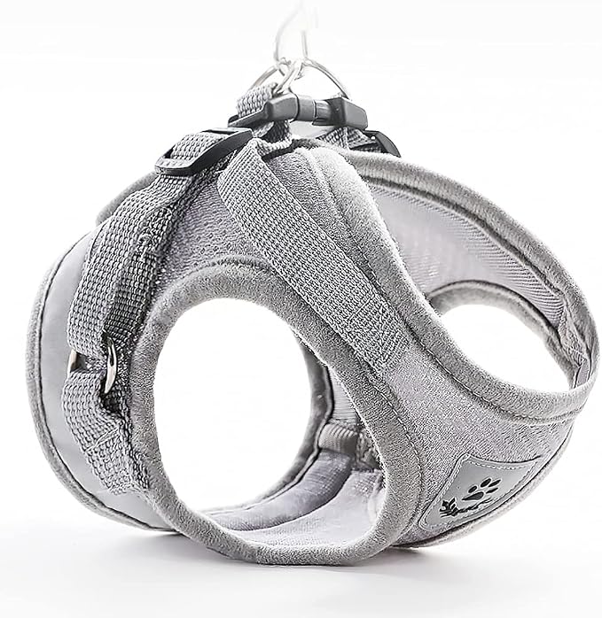 FEimaX Dog Harness and Leash Set - Image 6