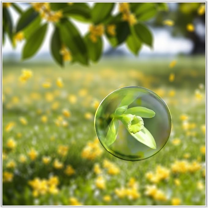 Bluwtoclan Crystal Magnifying Paperweight, 3.1 inch Clear Dome Paper Weight - Image 5
