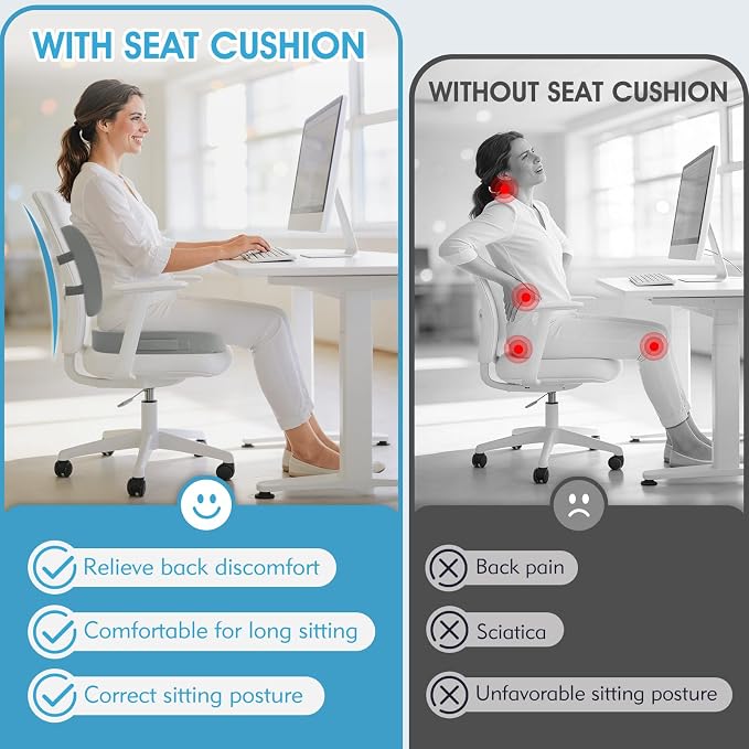 CushZone Seat Cushion, Lumbar Support Pillow - Image 3