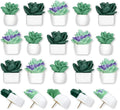 20 Pieces Push Pins Succulent Plants Floret Thumbtacks by krastmon