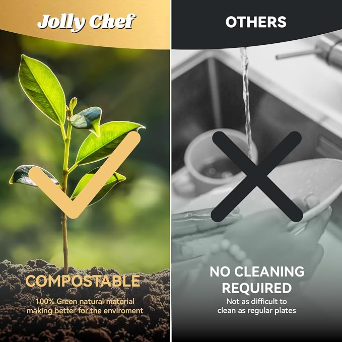 JOLLY CHEF Compostable  Compartment Paper Plates 10 * 8.25 * 1  Small - Image 9