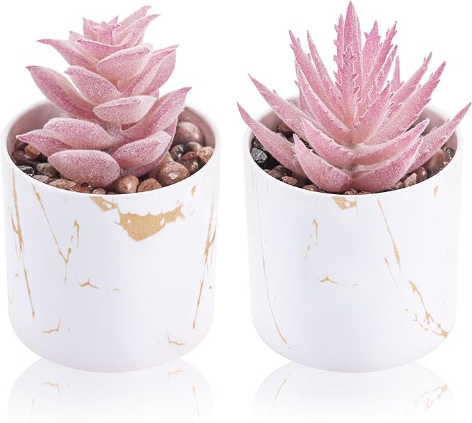 Der Rose Set of 2 Succulents Plants Artificial Mini Fake Succulents Plants by DerRose