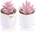 Der Rose Set of 2 Succulents Plants Artificial Mini Fake Succulents Plants by DerRose