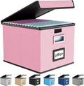 File Organizer Box with Lid, Collapsible File Folder Organizer by Huolewa