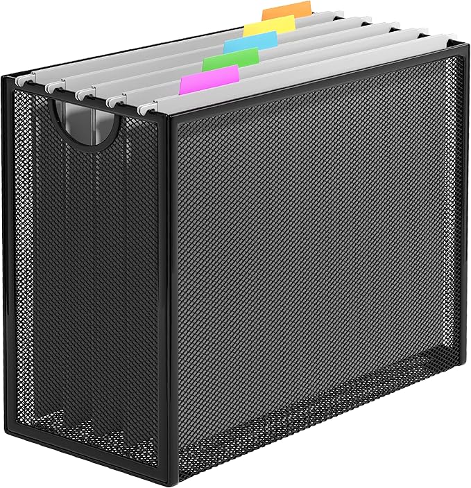 Hanging File Organizer, Letter-Size File Holder Filing Box by GoldOrcle