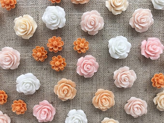 Temoyj Push Pins 24 Pcs, Decorative ThumbTacks by Temoyj